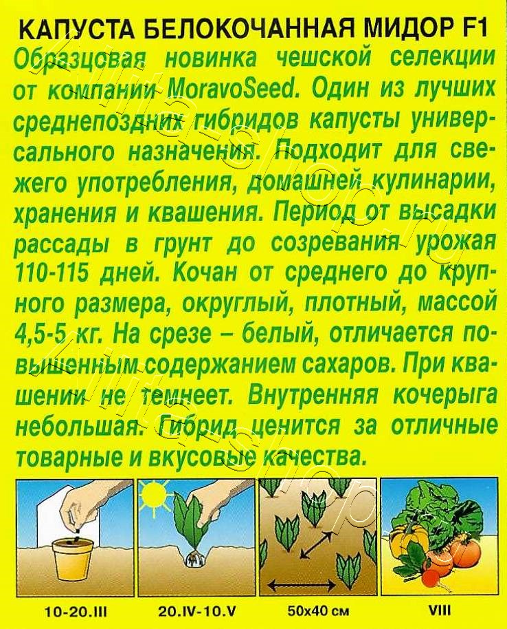 Капуста белокочанная Мидор F1 0,1г