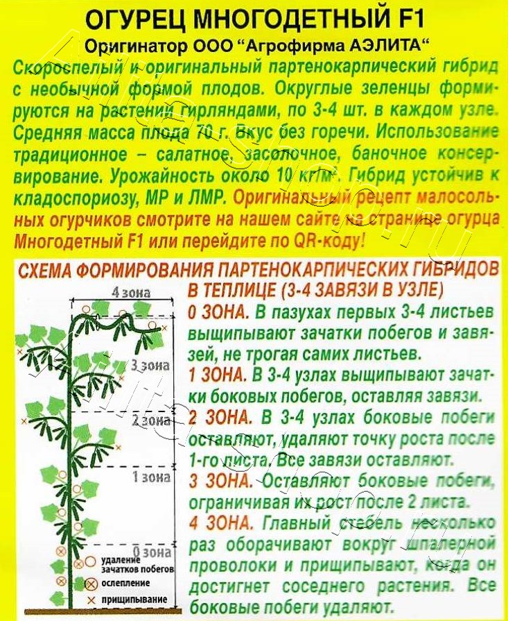 Огурец Многодетный F1 10шт