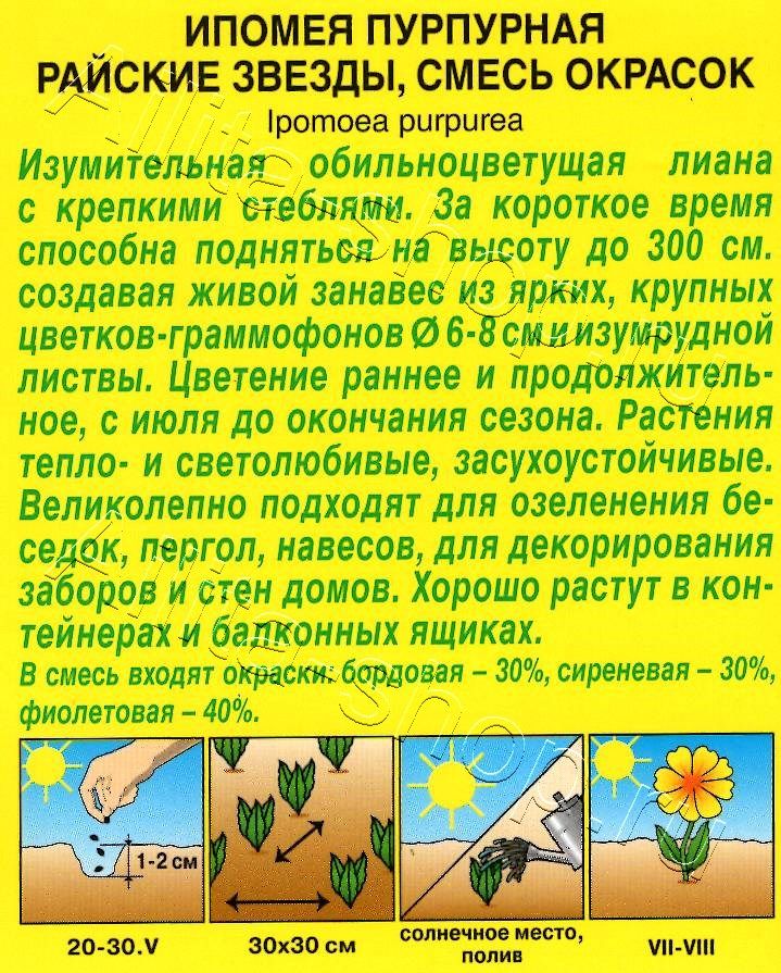 Ипомея пурпурная Райские звезды, смесь окрасок 0,5г