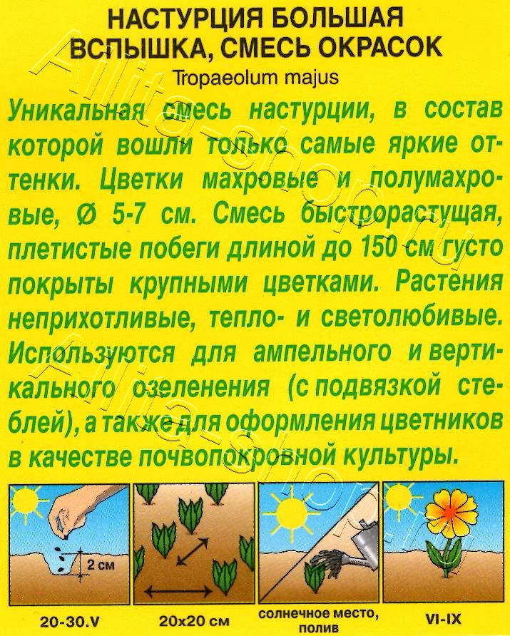 Настурция Вспышка, смесь окрасок 1г