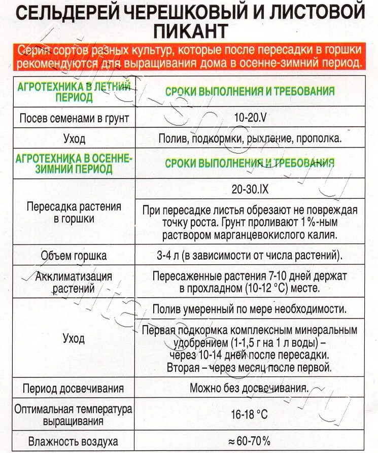 Сельдерей листовой Пикант 0,5г