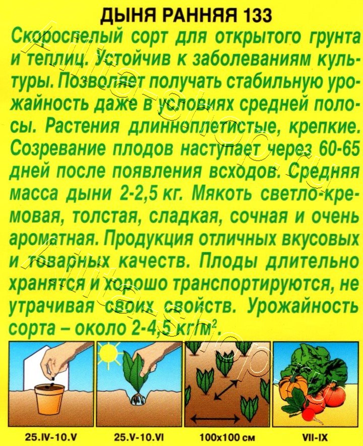 Дыня Ранняя 133 1г