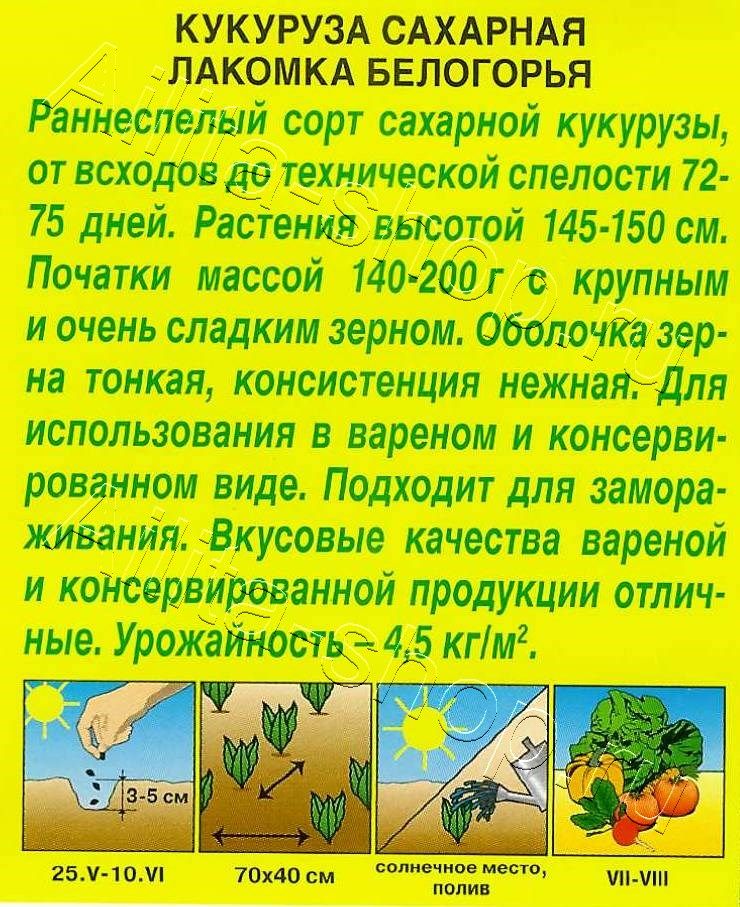 Кукуруза сахарная Лакомка Белогорья 7г