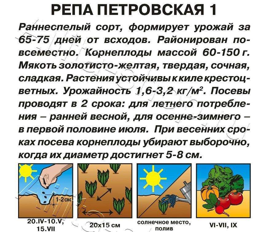 Репа Петровская 1 1г