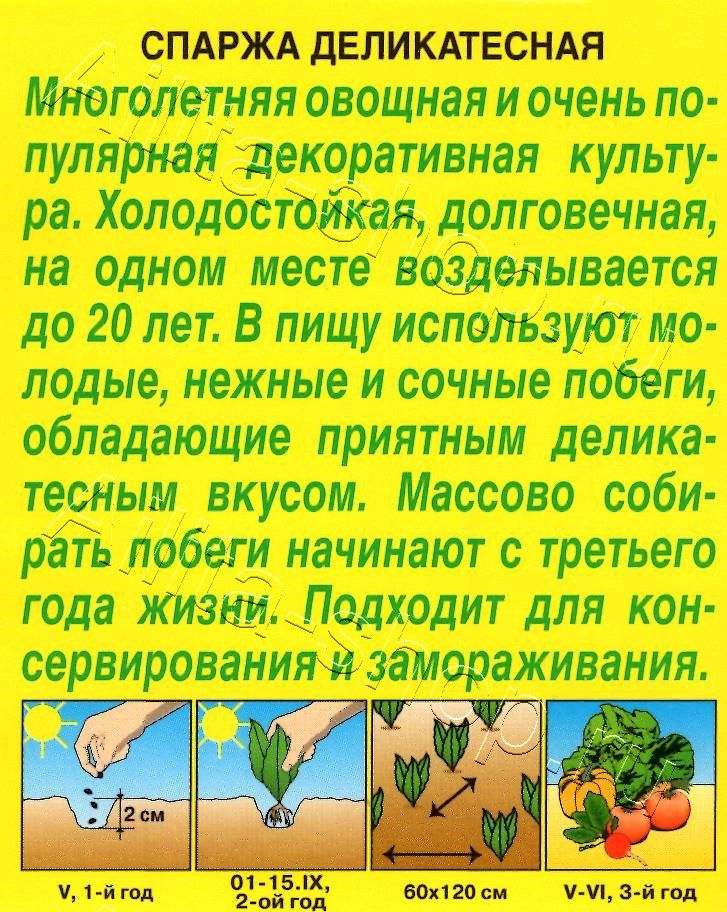 Спаржа Деликатесная 0,5г