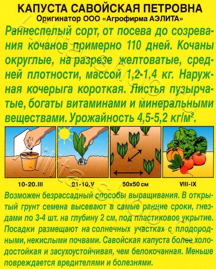 Капуста савойская Петровна 0,3г