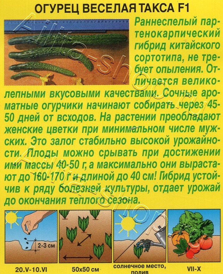Огурец Веселая такса F1 10шт