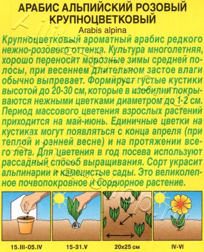 Арабис альпийский Розовый крупноцветковый 0,05г