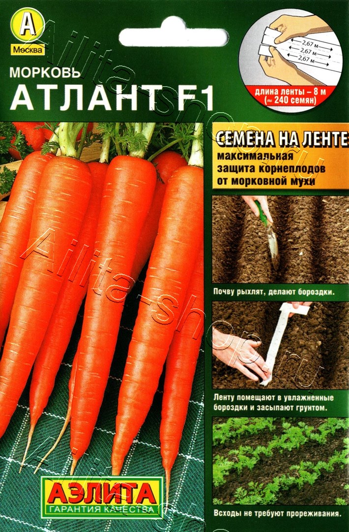 Морковь Атлант F1 8м