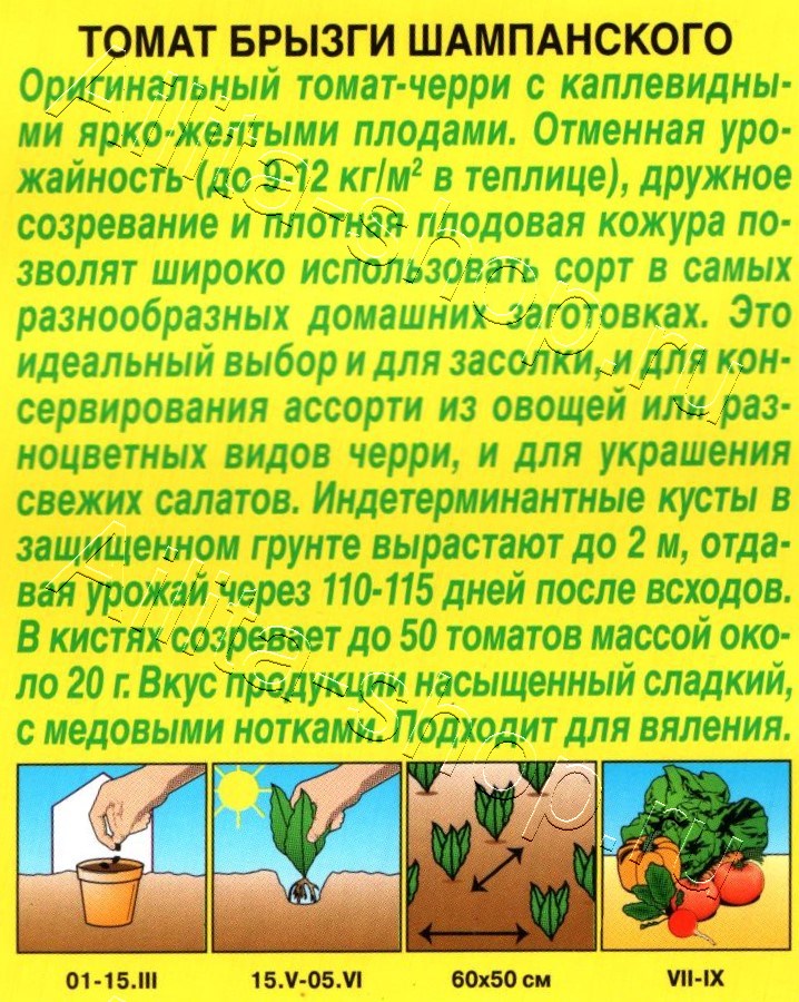 Томат Брызги шампанского 20шт