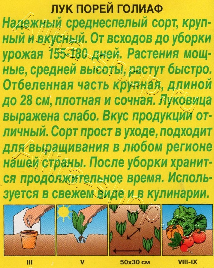 Лук порей Голиаф 0,5г