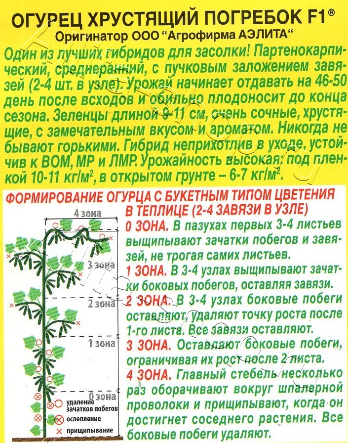 Огурец Хрустящий погребок F1  10шт