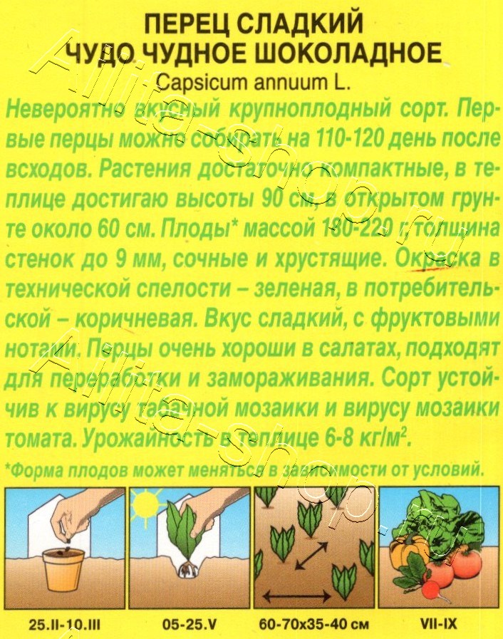 Перец сладкий Чудо чудное шоколадное 20шт