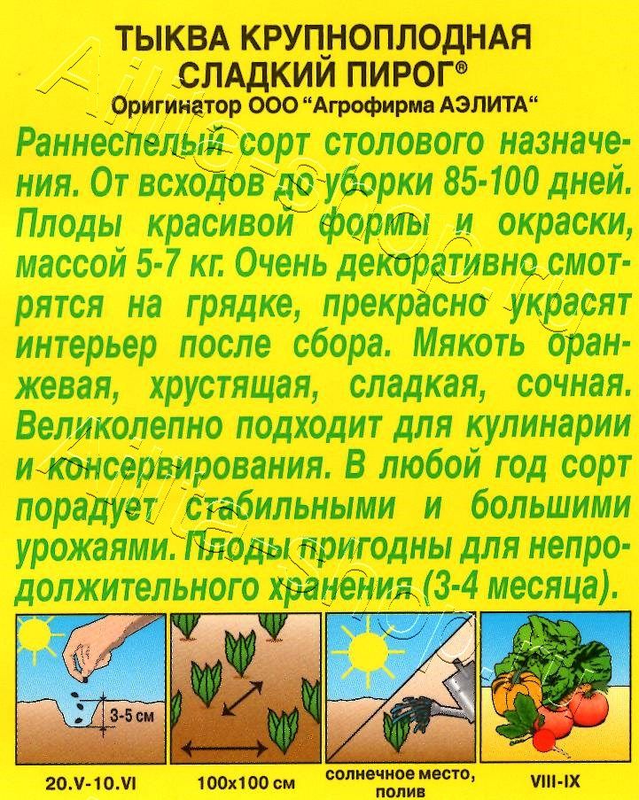 Тыква крупноплодная Сладкий пирог 1г