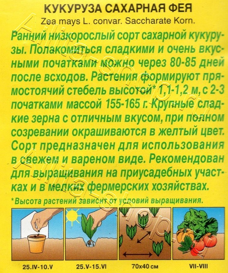 Кукуруза Сахарная фея 5г