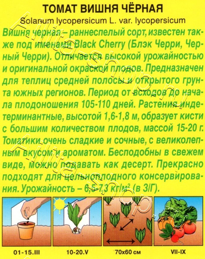 Томат Вишня черная 20шт