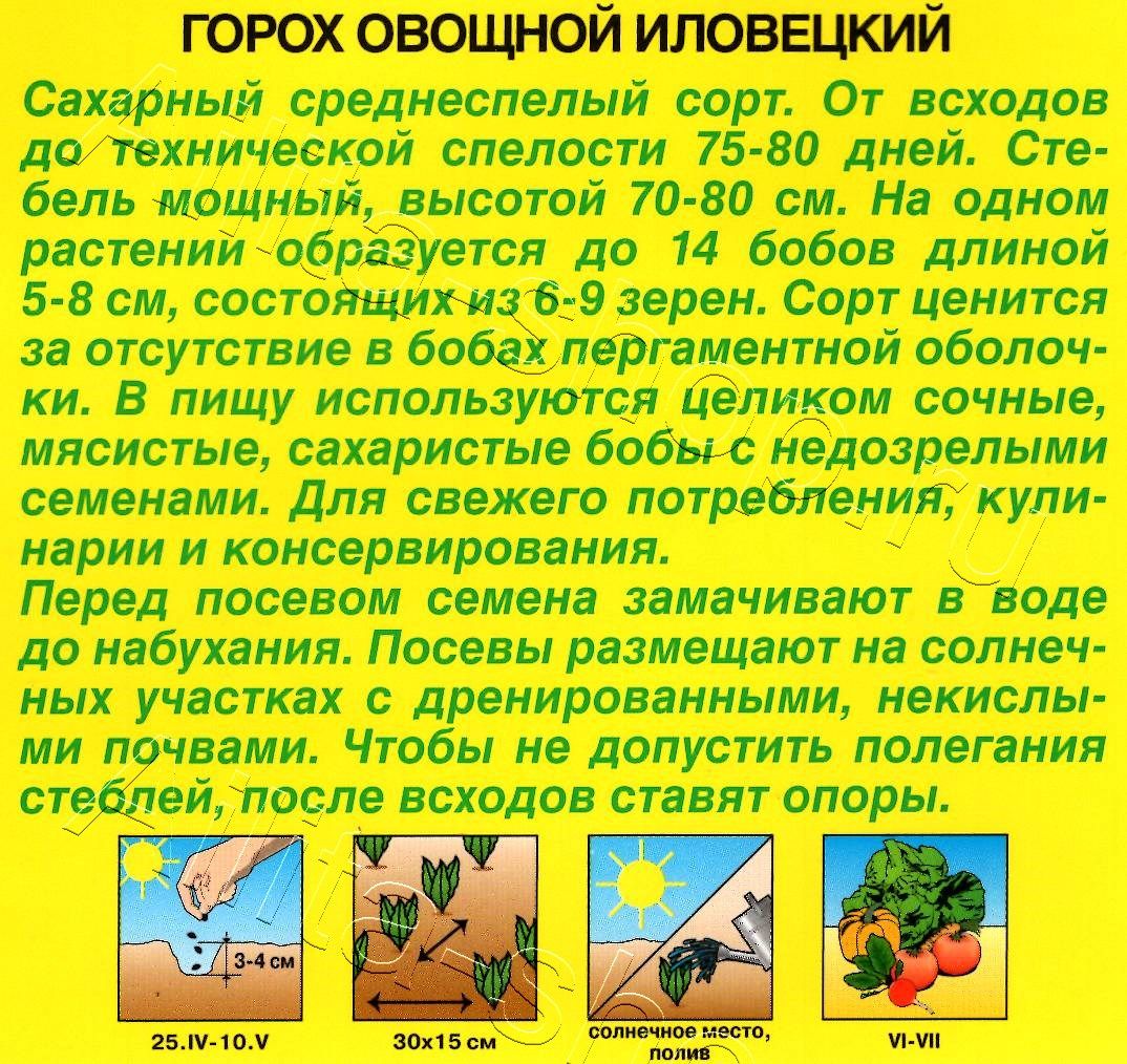 Горох овощной Иловецкий 25г