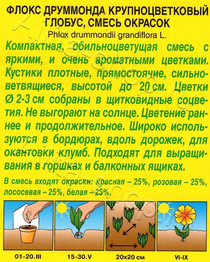 Флокс Глобус, смесь окрасок 0,1г