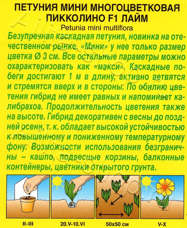 Петуния мини Пикколино F1 лайм 5шт