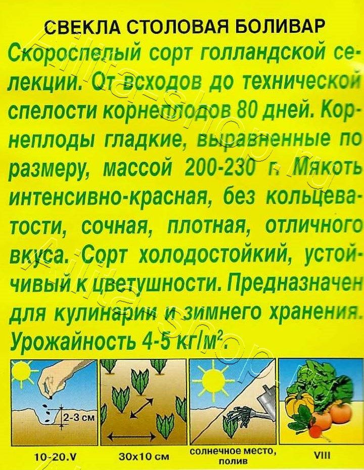 Свекла столовая Боливар 3г