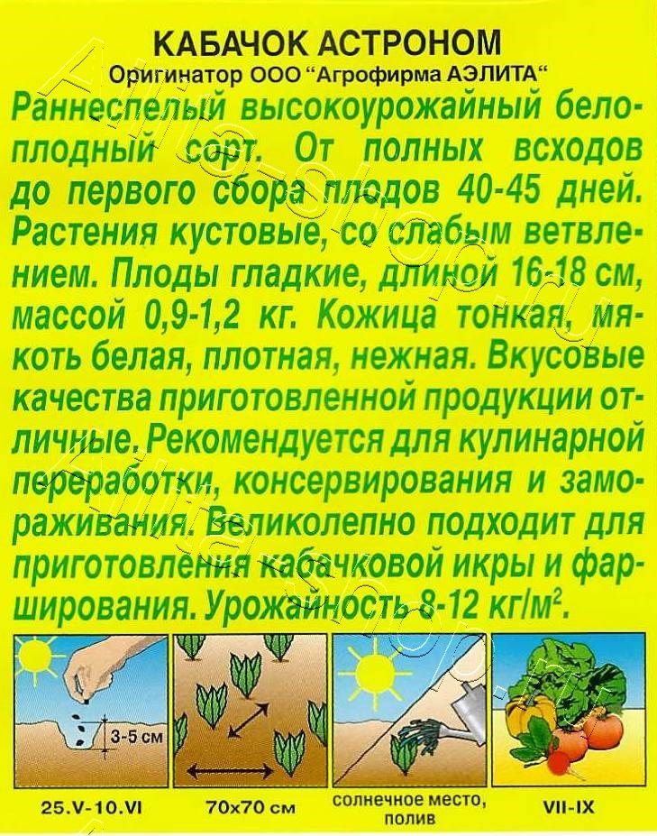 Кабачок белоплодный Астроном 1г