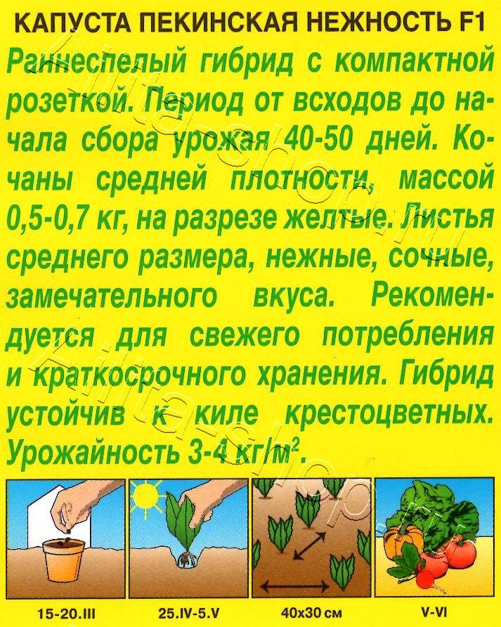 Капуста Пекинская Нежность F1 0,3г