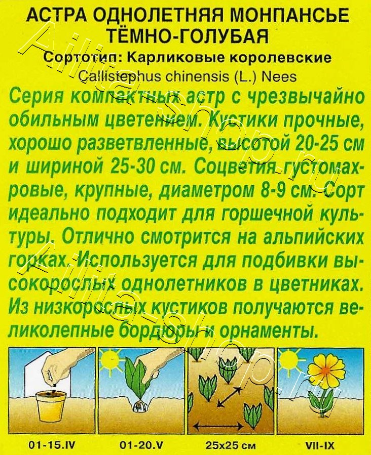 Астра Монпансье темно-голубая 0,2г