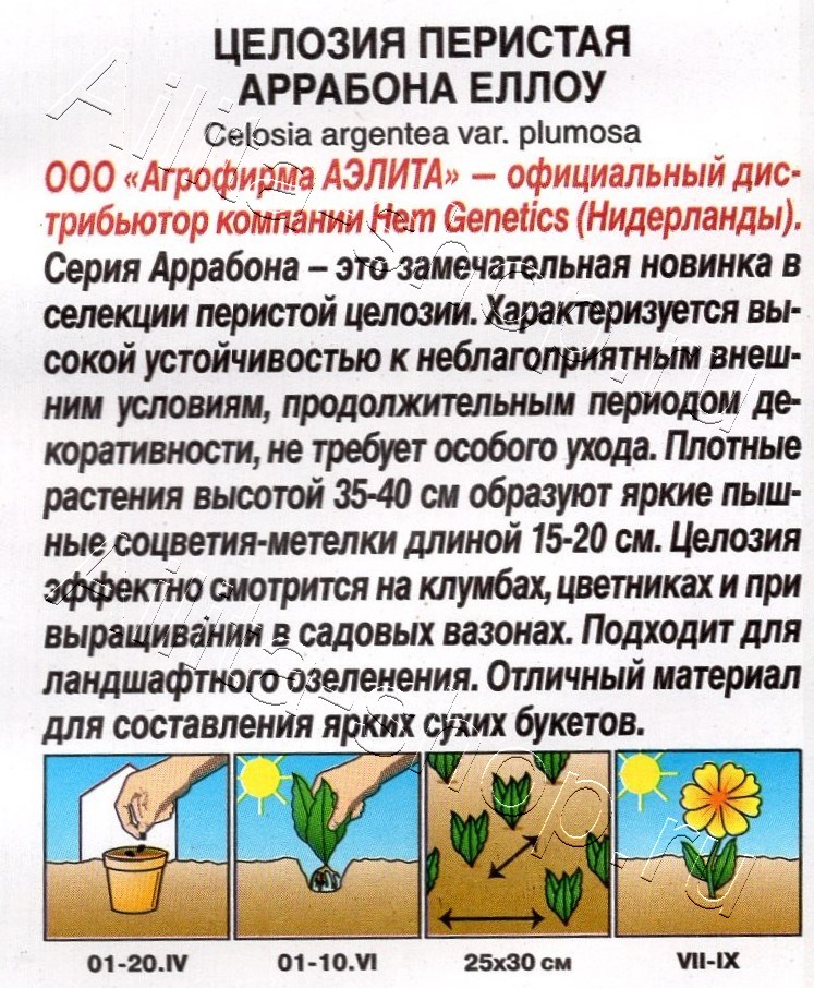 Целозия перистая Аррабона еллоу 7шт