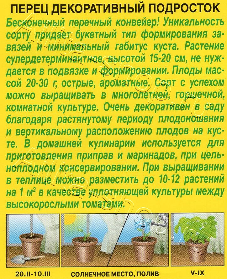 Перец декоративный Подросток 20шт