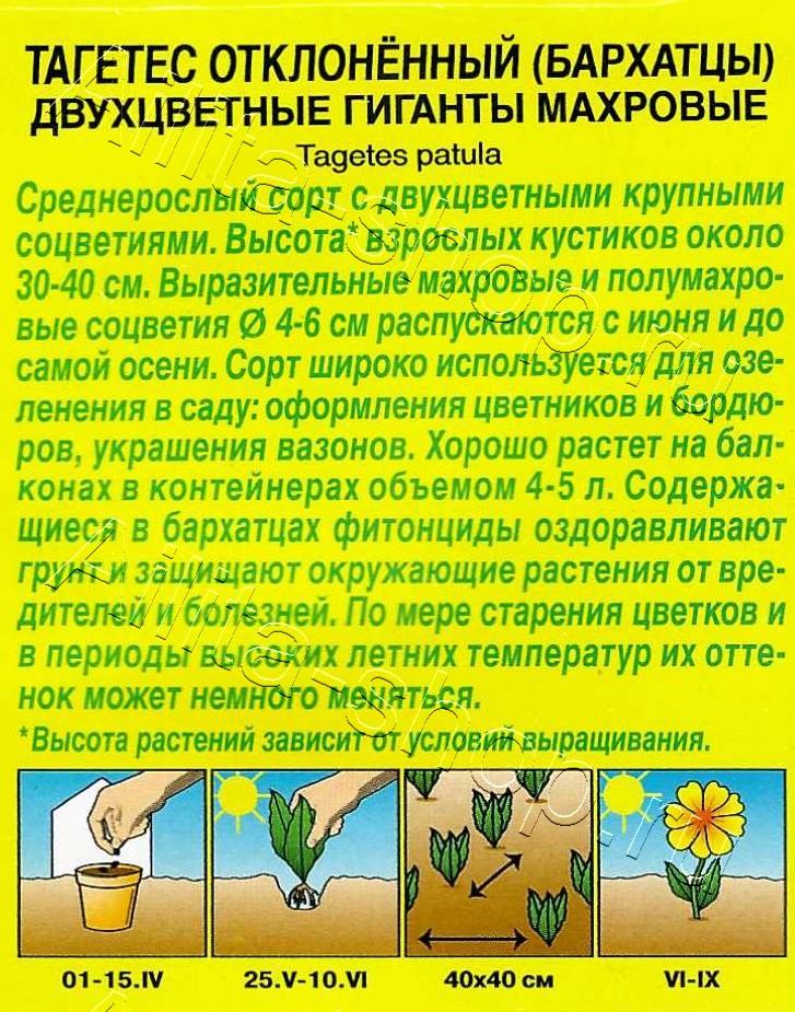 Бархатцы Двухцветные гиганты отклоненные махровые 0,3г