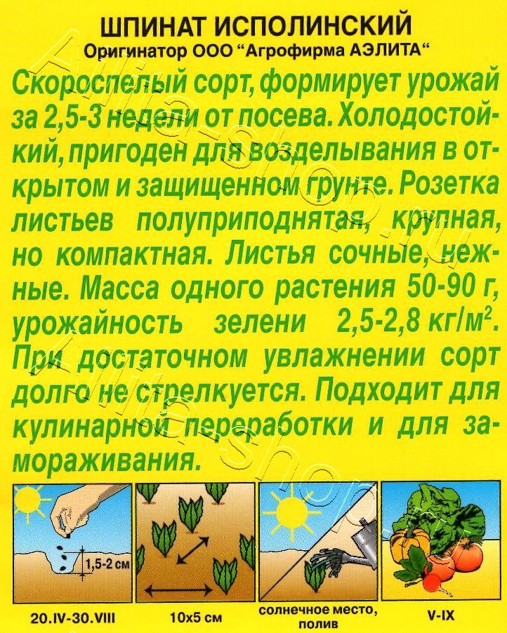 Шпинат Исполинский 3г