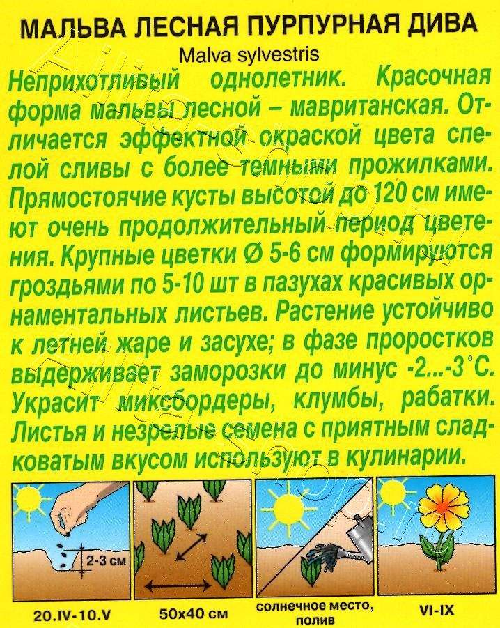 Мальва Пурпурная дива 0,1г