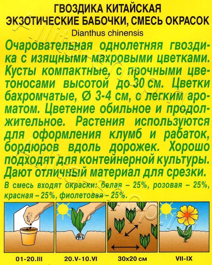 Гвоздика Экзотические бабочки, смесь окрасок 0,1г