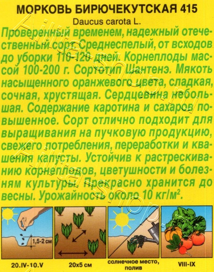 Морковь Бирючекутская 415 2г