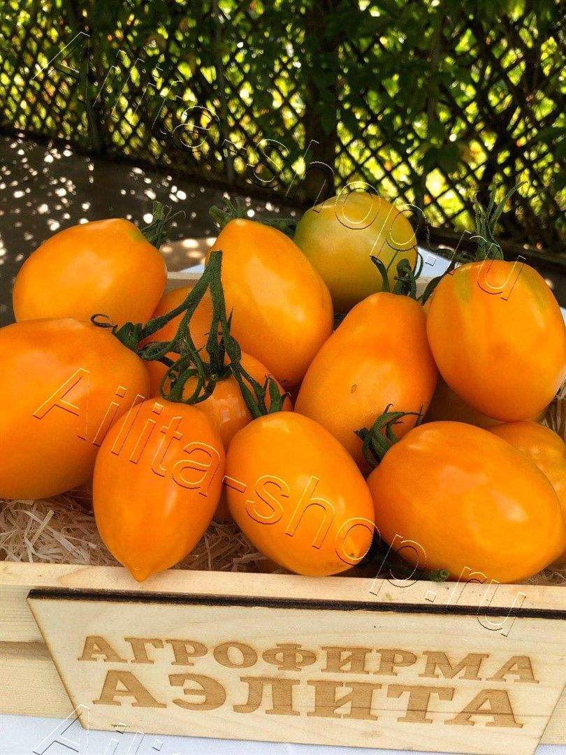 Томат Лимонные дольки 0,2г