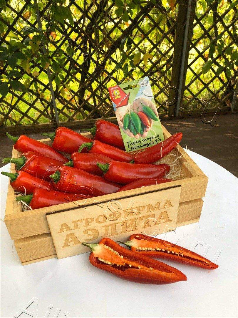 Перец сладкий Эксклюзив F1 10шт