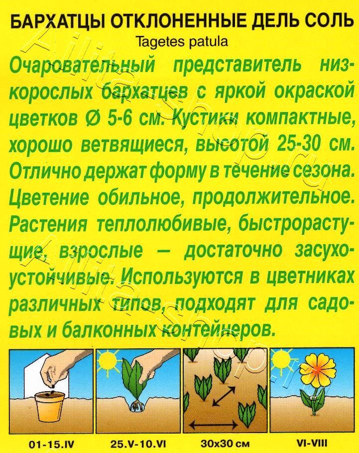 Бархатцы Дель соль отклоненные 0,2г