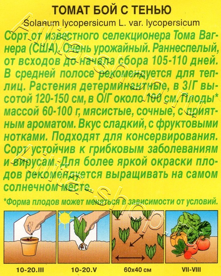 Томат Бой с тенью 20шт