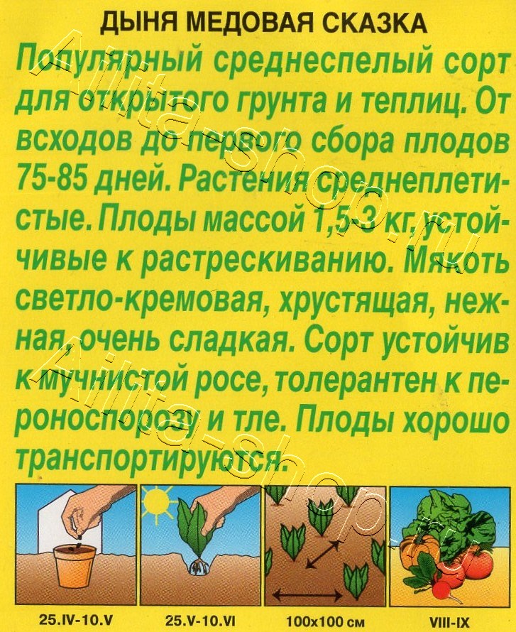 Дыня Медовая сказка 1г