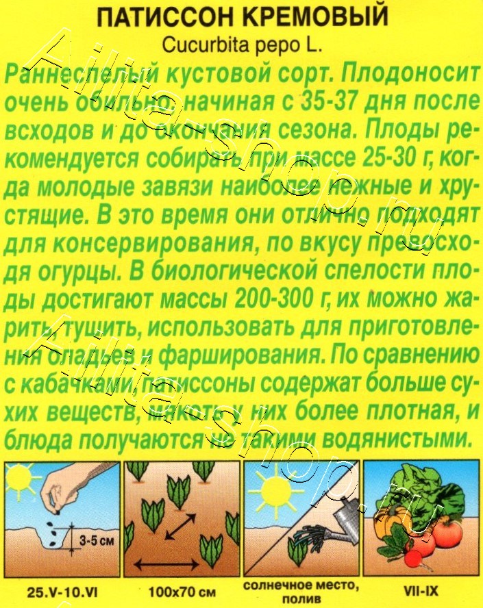 Патиссон Кремовый 1г