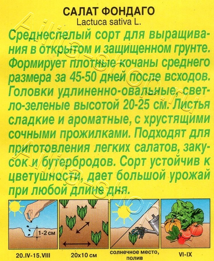 Салат Фондаго 0,5г