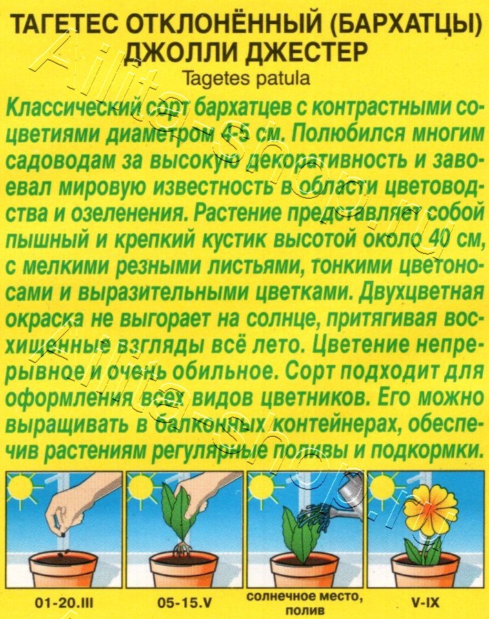 Бархатцы Джолли Джестер отклоненные 0,1г