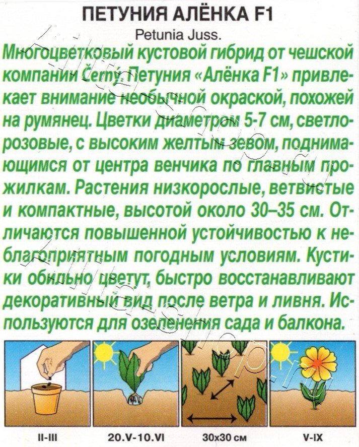 Петуния Алёнка F1 многоцветковая 7шт