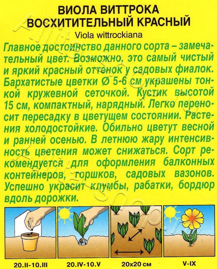 Виола Восхитительный красный 0,1г