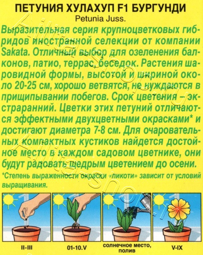 Петуния Хулахуп F1 бургунди 7шт