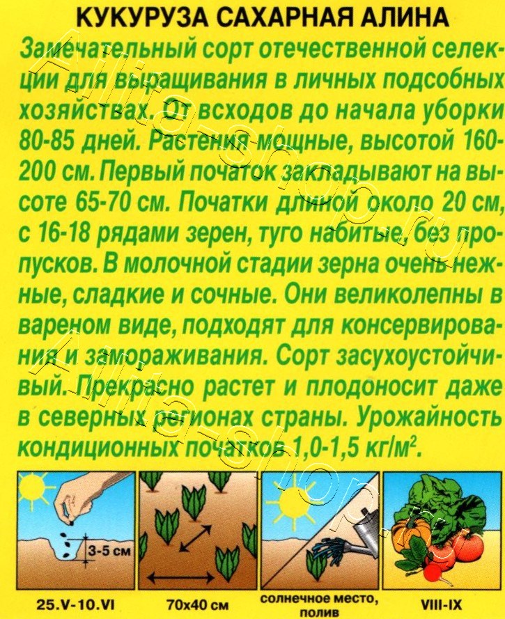 Кукуруза сахарная Алина 7г