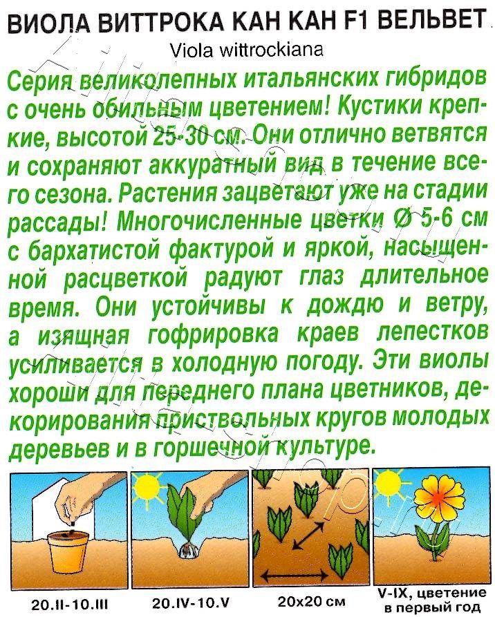 Виола Кан Кан F1 вельвет 7шт