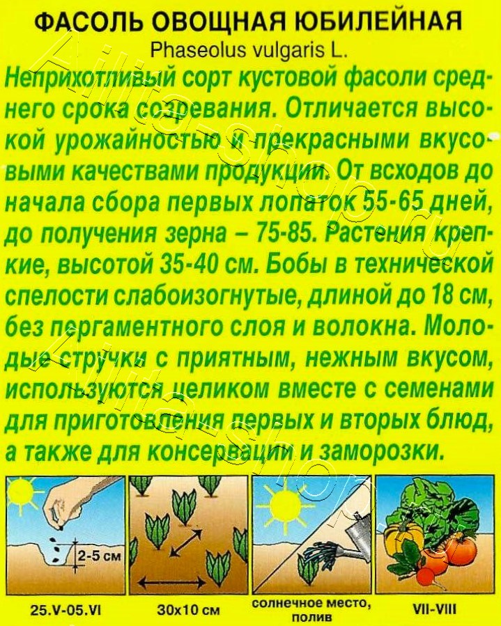 Фасоль овощная Юбилейная 5г