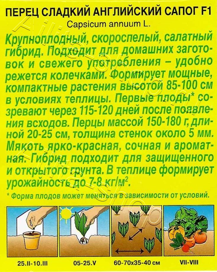 Перец сладкий Английский сапог F1 5шт