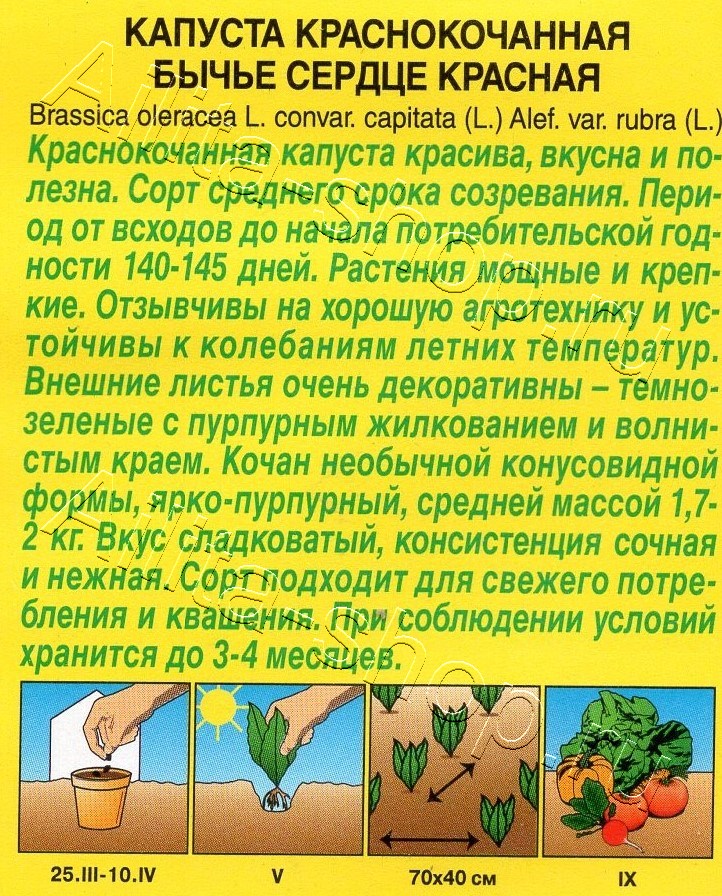 Капуста к/к Бычье сердце красное 0,3г
